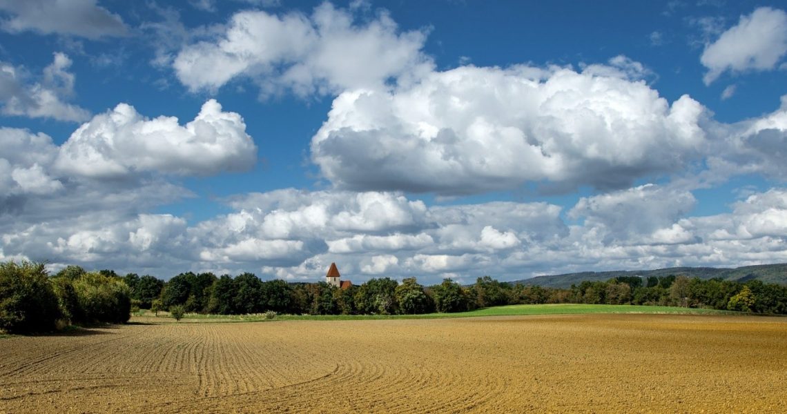 Na pierwszym planie łąka, a w tle las i czerwony dach budynku