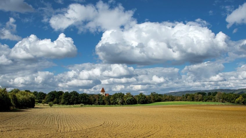 Na pierwszym planie łąka, a w tle las i czerwony dach budynku