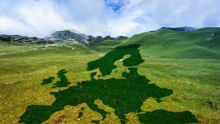 kontury krajów Europy na zielonej trawie