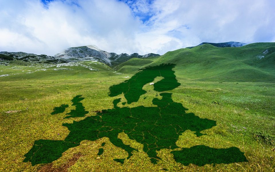 kontury krajów Europy na zielonej trawie